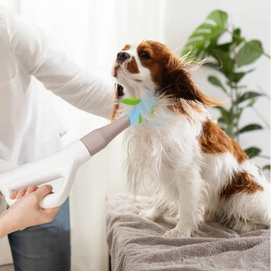 High-Power Dog & Cat Hair Blower with Negative Ion Function – Professional Pet Dryer for Fast & Safe Grooming