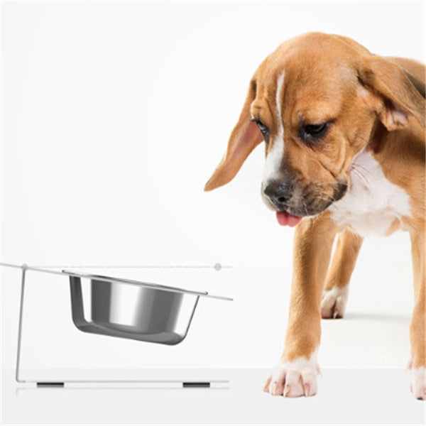 Anti-Fall Double Pet Bowl with Non-Slip Base – Food & Water Feeder for Cats and Small Dogs