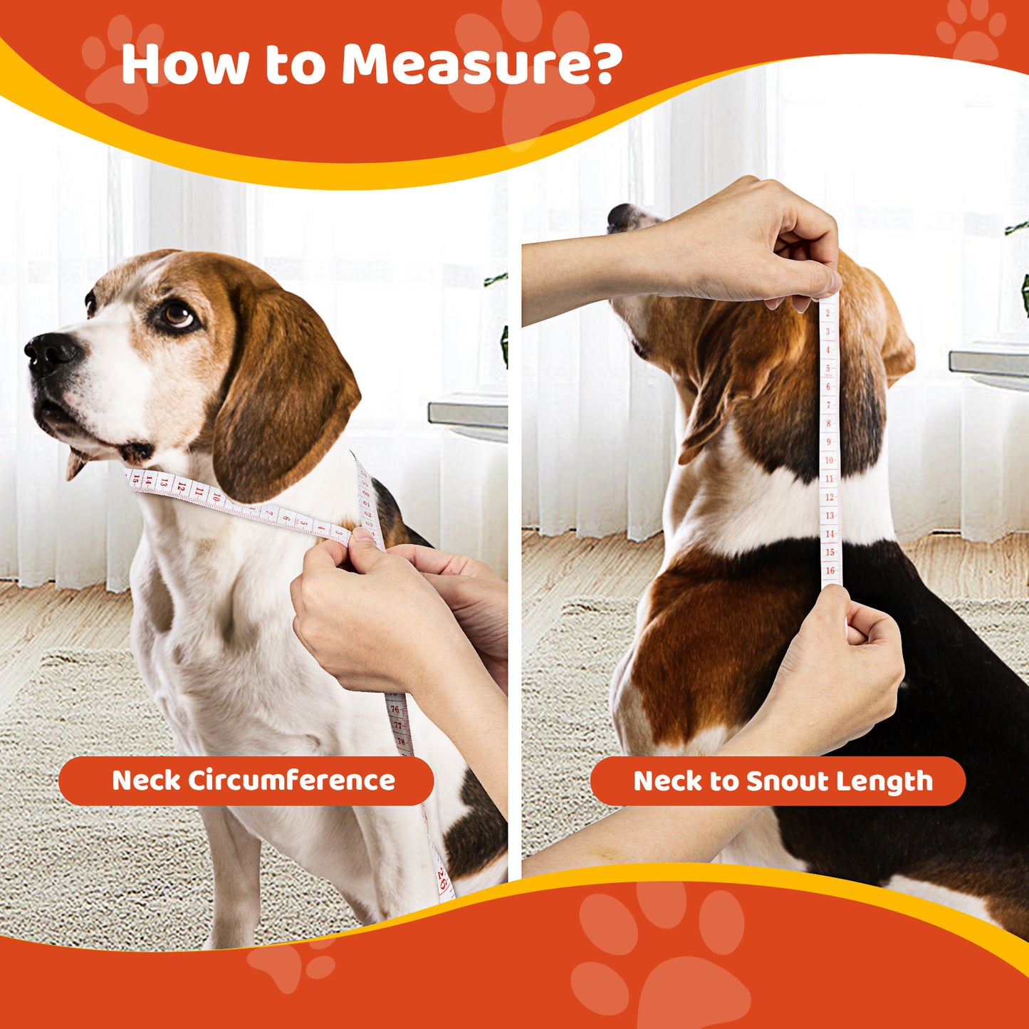 Eco-Friendly Waterproof Martingale Dog Collar