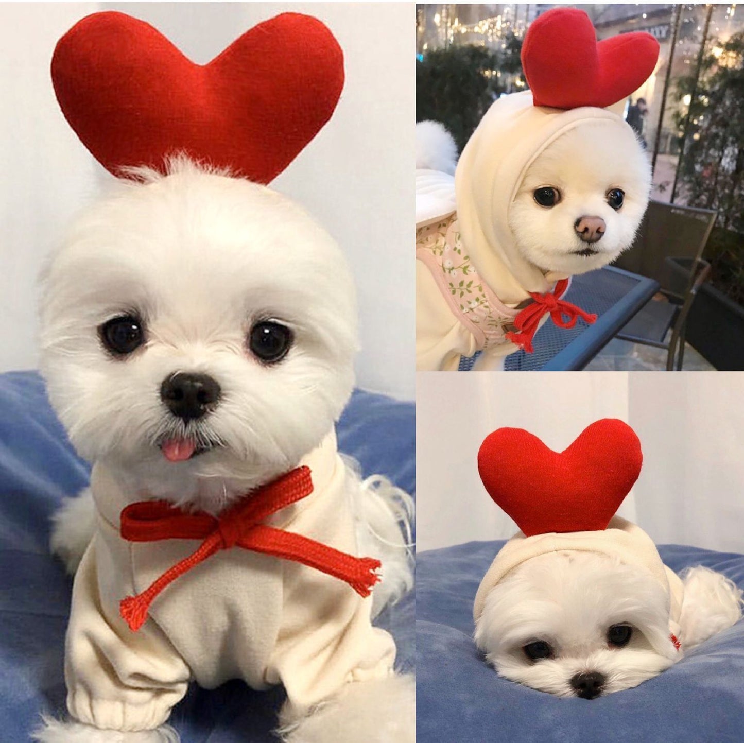 Techniwoof™ Cute Fruit Dog Hoodie – Warm Winter Fleece Costume for Small Dogs