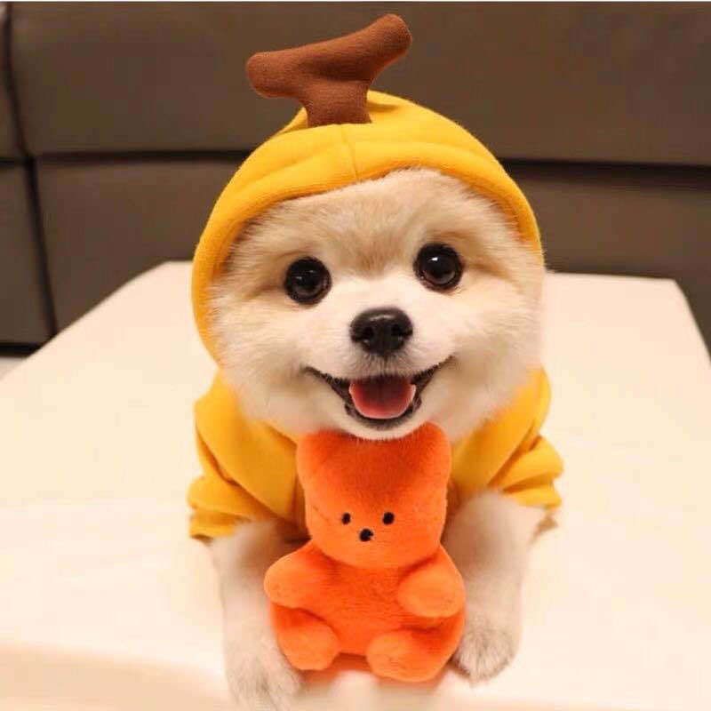 Techniwoof™ Cute Fruit Dog Hoodie – Warm Winter Fleece Costume for Small Dogs