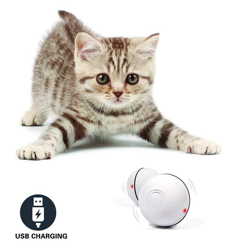 LED Laser Rolling Cat Toy Ball – Smart Motion-Activated Electronic Toy for Indoor Cats