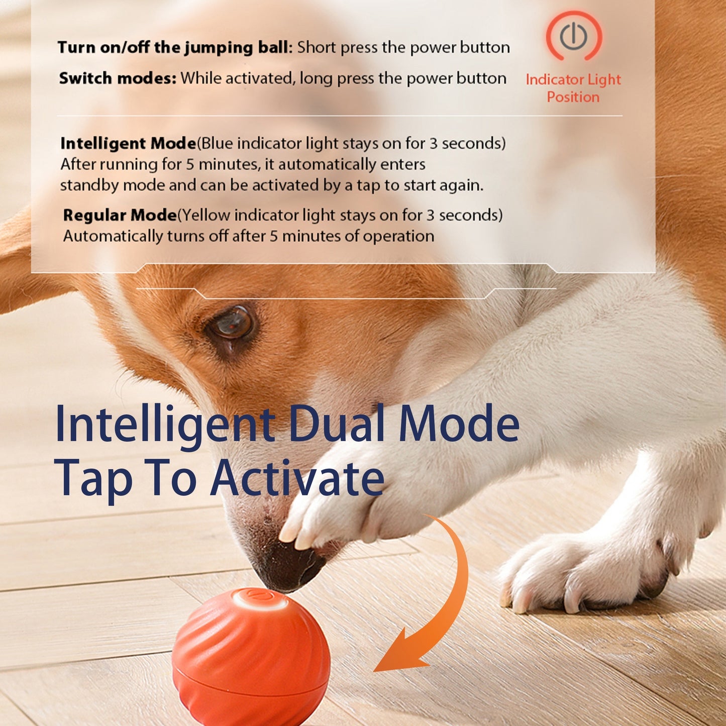 Interactive LED Bouncing Ball – Smart Motion Toy for Dogs