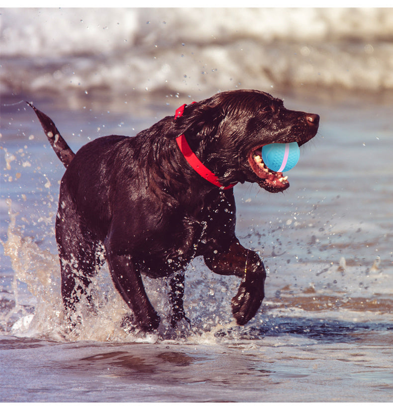 Electric Dog Ball – USB Rechargeable Auto-Rolling & Flashing Toy