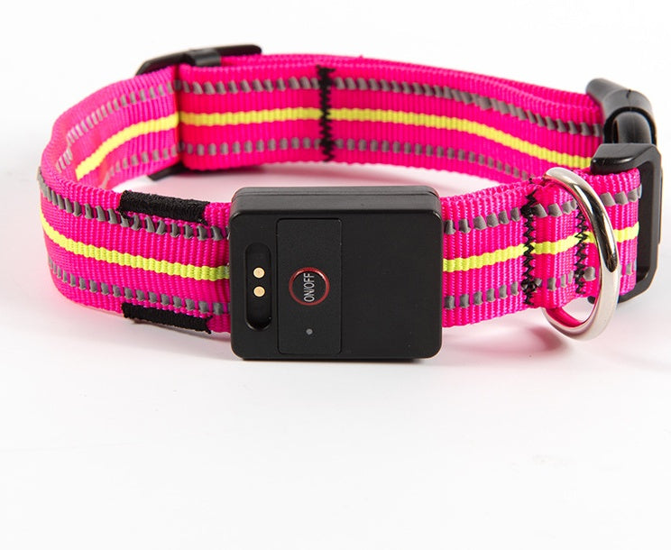 LED Glowing Dog Collar – USB Rechargeable Night Safety Pet Collar