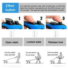 Retractable Dog Leash – Pet Automatic Telescopic Traction Rope