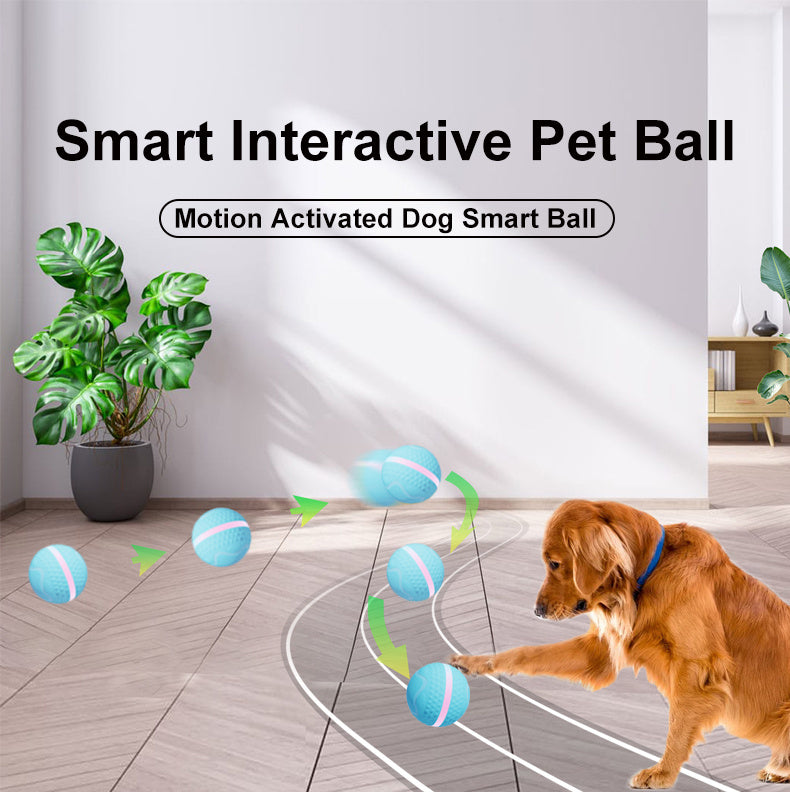 Electric Dog Ball – USB Rechargeable Auto-Rolling & Flashing Toy