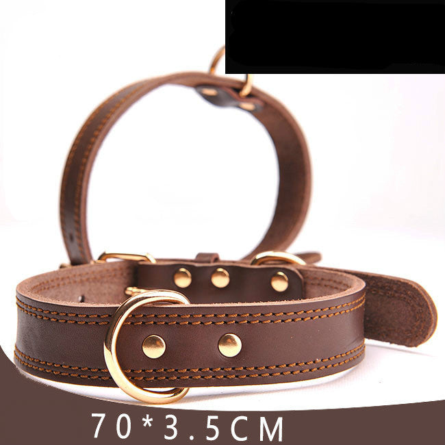 Angel Pet Supplies Rio Leather Martingale Collar