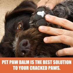 Pet Foot Care Cream & Paw Moisturiser for Dry, Cracked Pads in Dogs and Cats