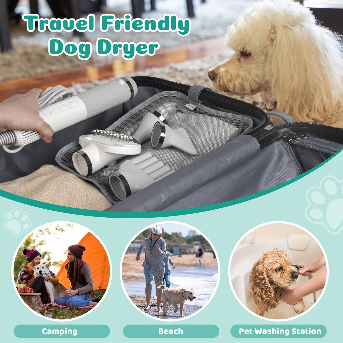 Brushless Motor Handheld Pet Dryer – Quiet Water Blower with Attachments for Dogs & Cats