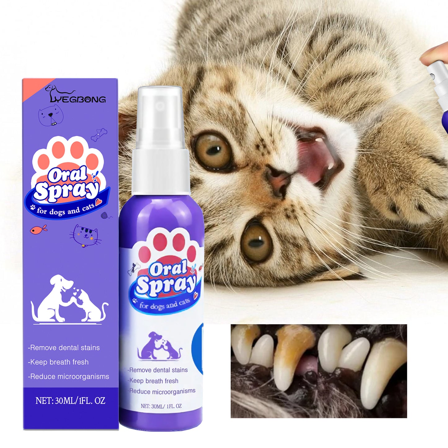 Cat and Dog Teeth Cleaning Spray – Remove Plaque, Tartar & Tooth Stains with Natural Oral Care Formula