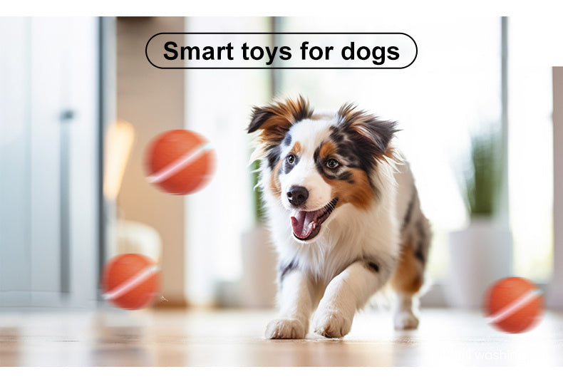 Electric Dog Ball – USB Rechargeable Auto-Rolling & Flashing Toy