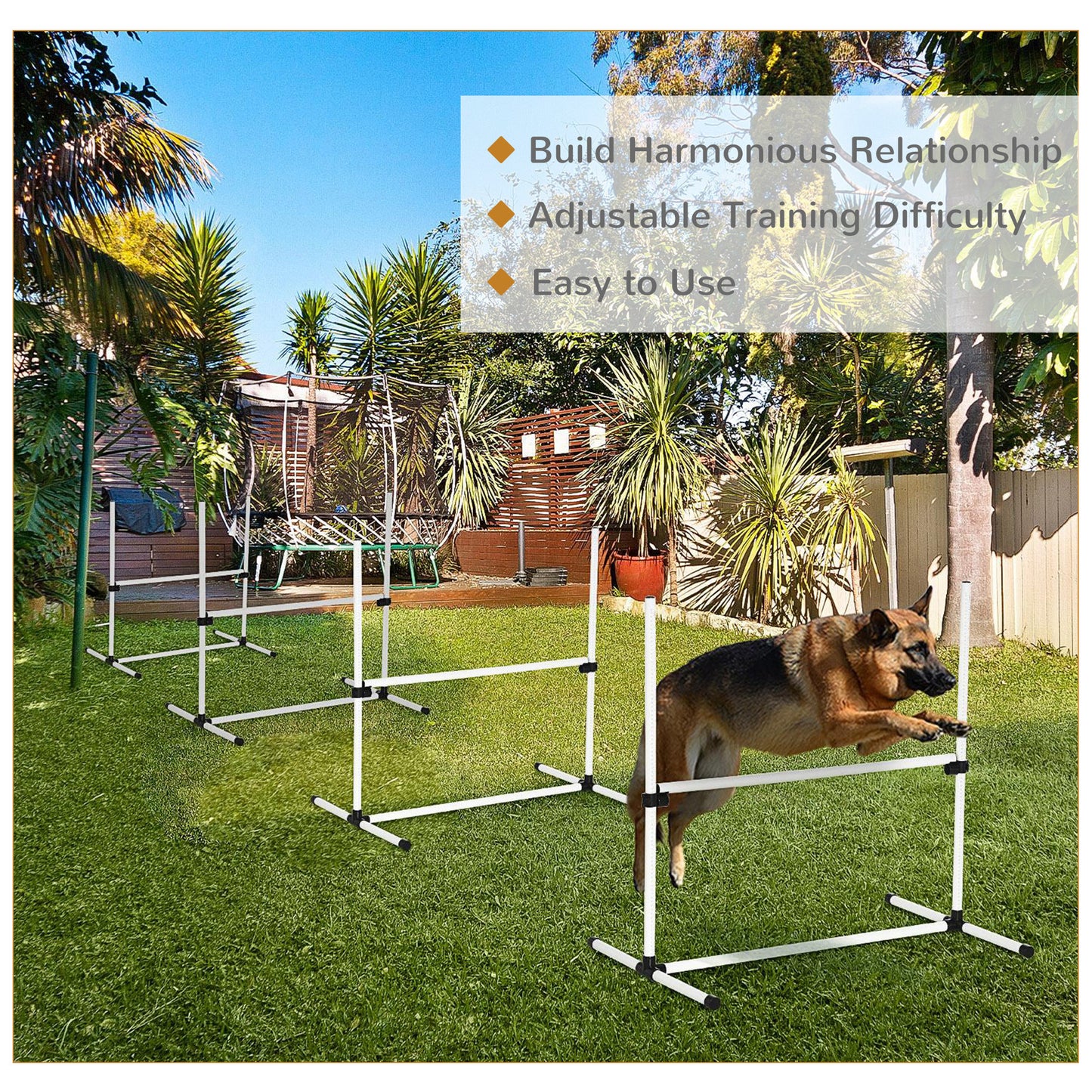 4-piece Dog Agility Training Equipment with Height-Adjustable Hurdles