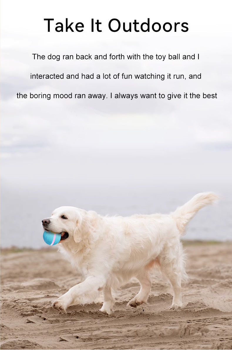 Electric Dog Ball – USB Rechargeable Auto-Rolling & Flashing Toy
