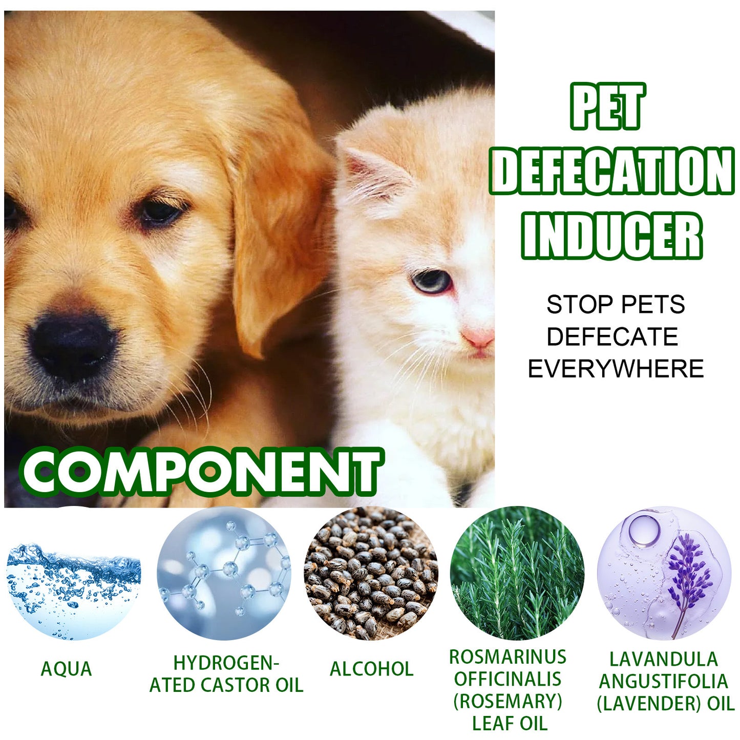 Yegbong Pet Toilet Training Spray – Positioning Inducer for Puppy and Dog Potty Training