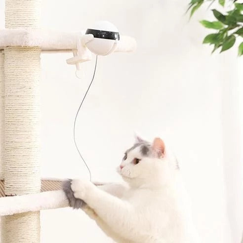 Motion-Activated Cat Teaser Toy – Electronic Interactive Wall-Mount Play for Indoor Cats