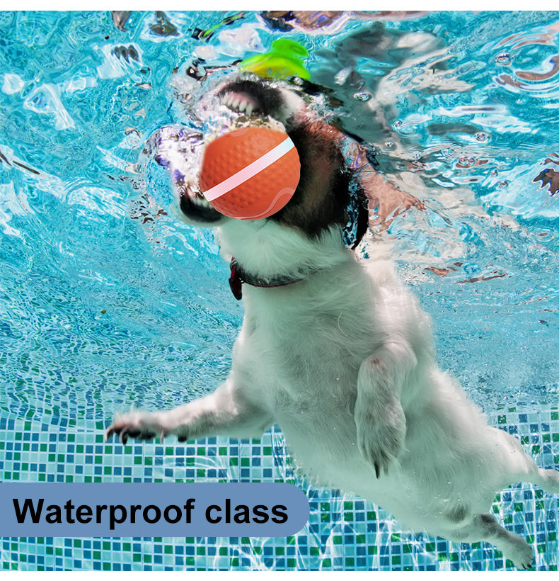 Electric Dog Ball – USB Rechargeable Auto-Rolling & Flashing Toy
