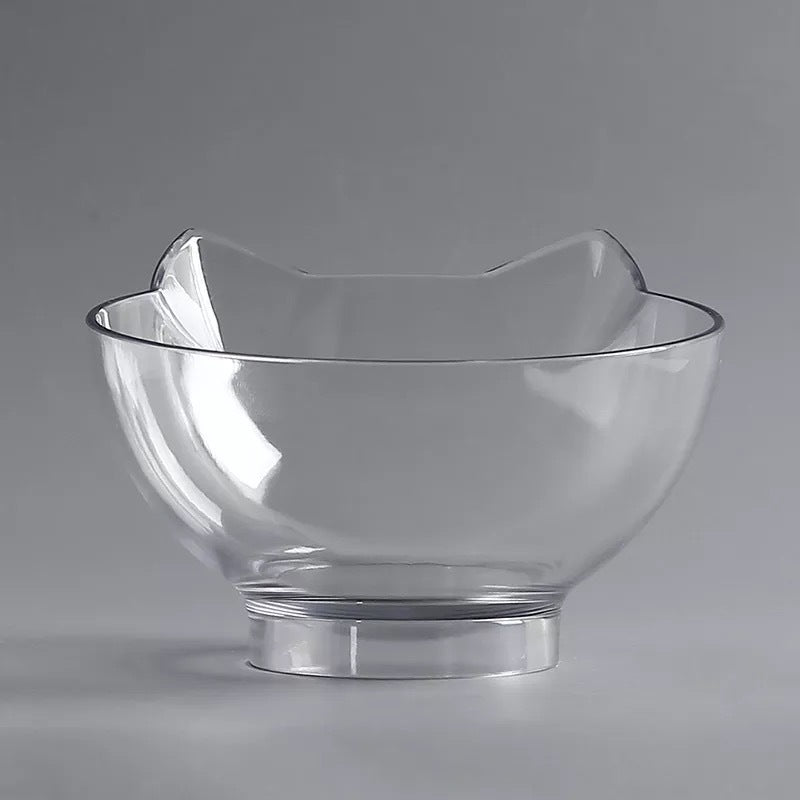 Elevated Cat Double Bowl Feeder – Anti-Vomit Tilted Bowls with Stand for Cervical Spine Support