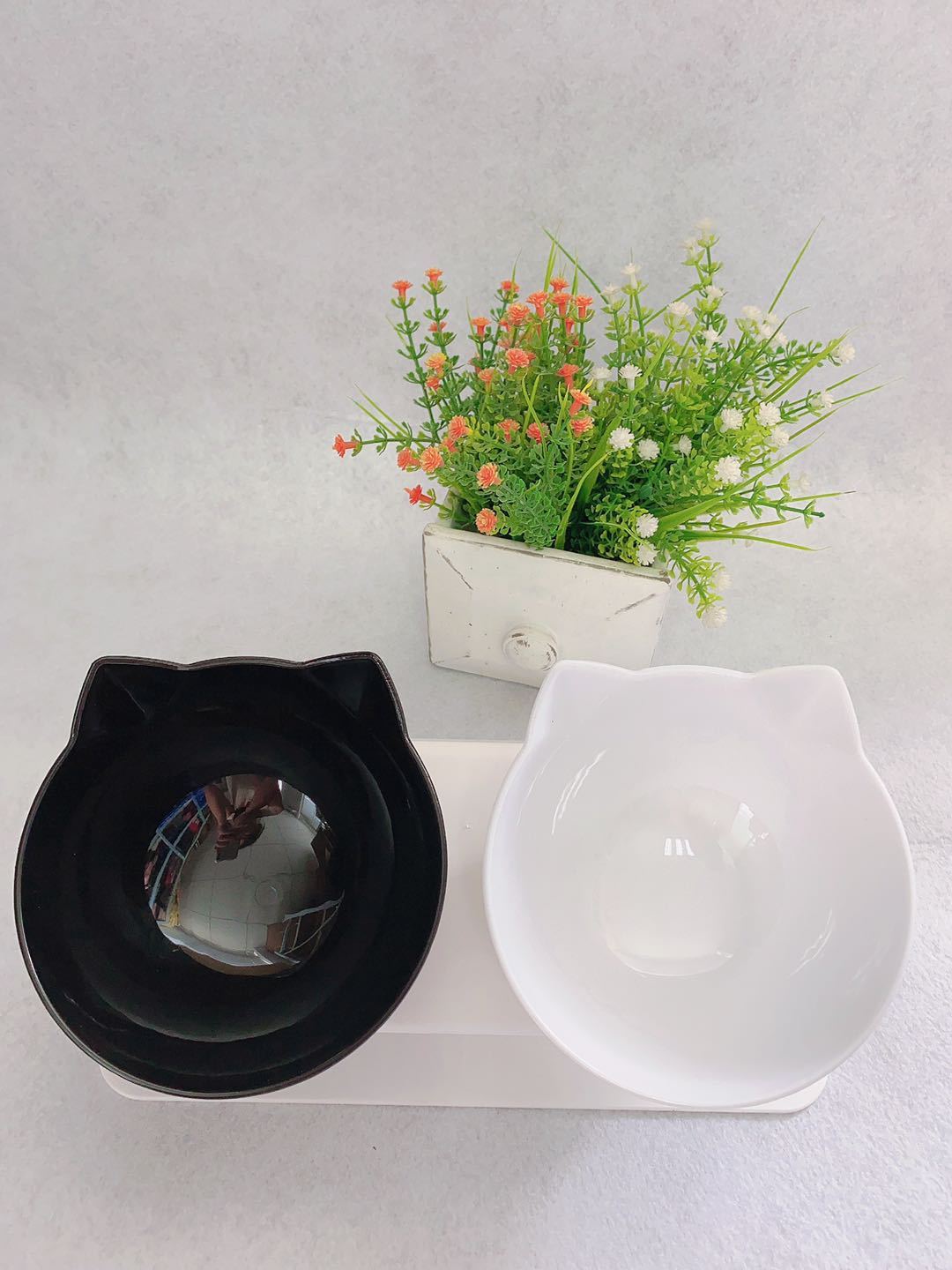 Elevated Cat Double Bowl Feeder – Anti-Vomit Tilted Bowls with Stand for Cervical Spine Support
