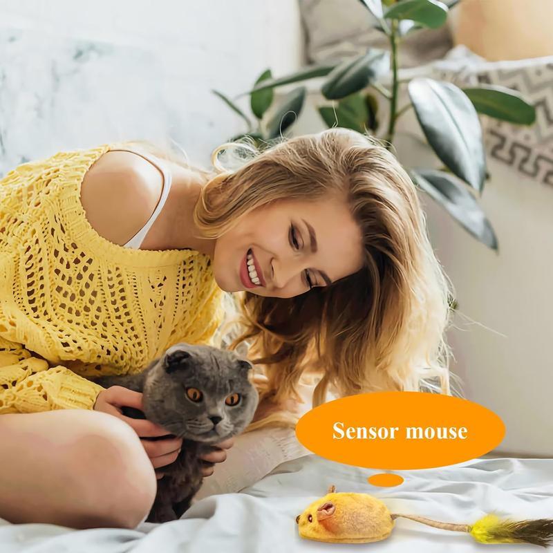 Interactive LED Cat Mouse Toy – USB Rechargeable Motion & Light Toy for Indoor Cats