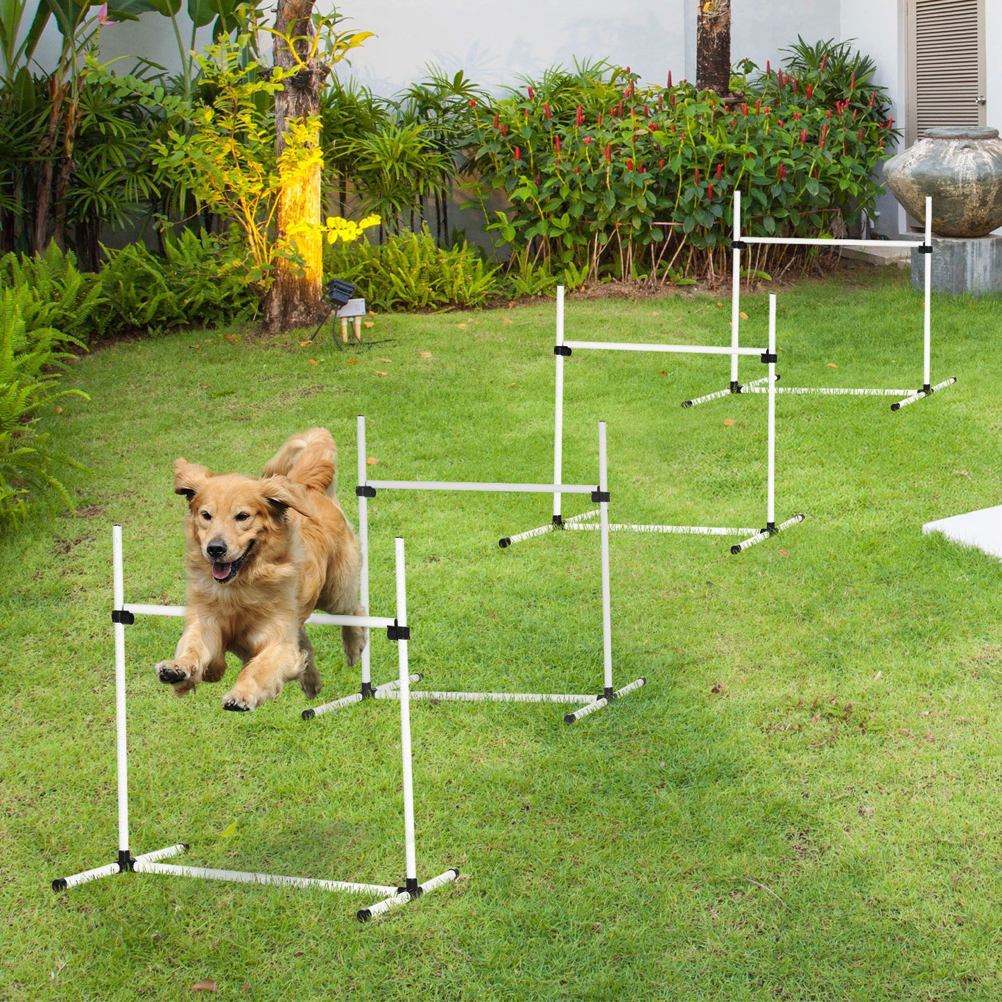 4-piece Dog Agility Training Equipment with Height-Adjustable Hurdles