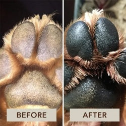 Pet Foot Care Cream & Paw Moisturiser for Dry, Cracked Pads in Dogs and Cats