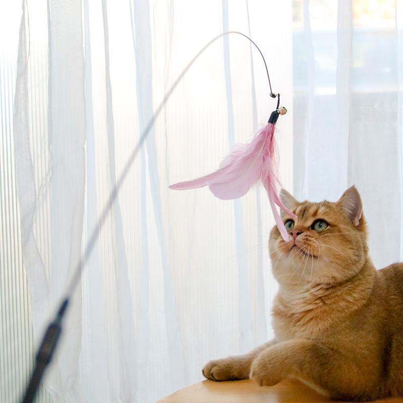 Laser Cat Wand Toy – Retractable Feather Stick with Built-in Laser Pointer