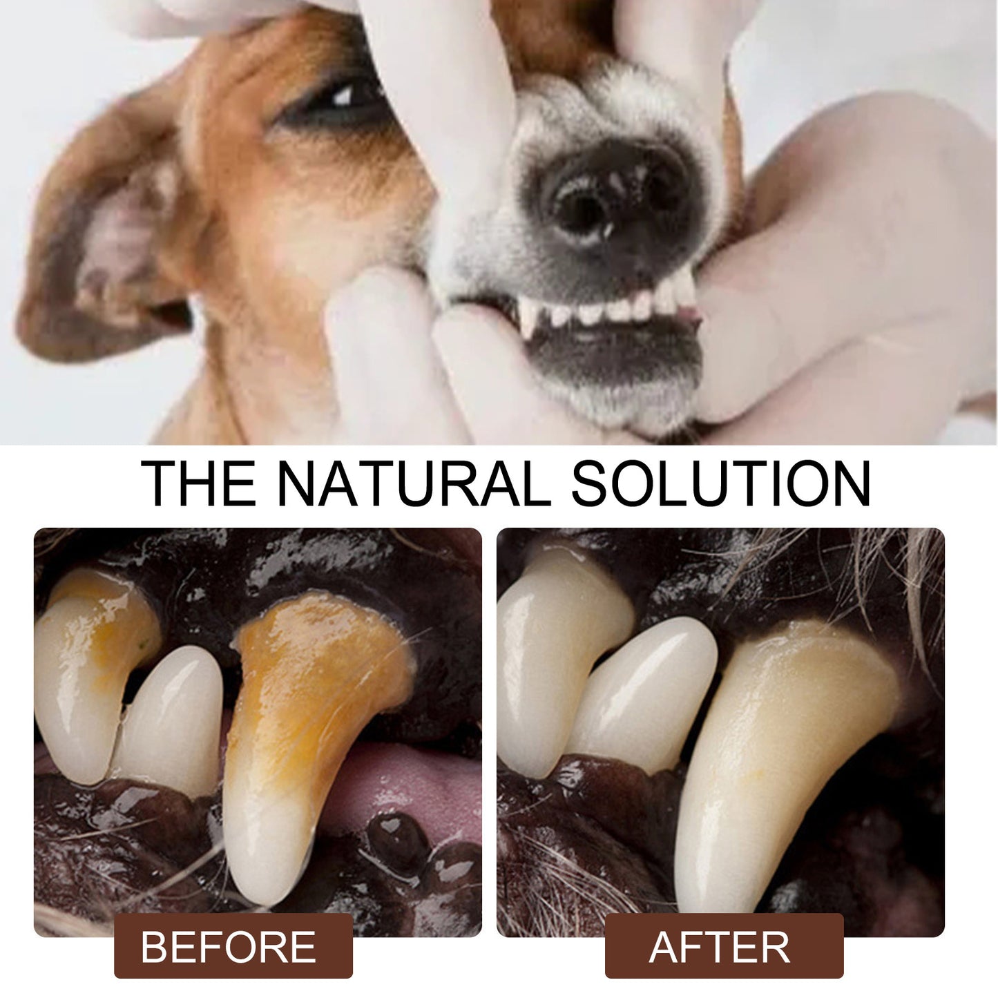 Pet Tooth Cleaning Spray & Fresh Breath & Tartar Control Formula for Cats and Dogs