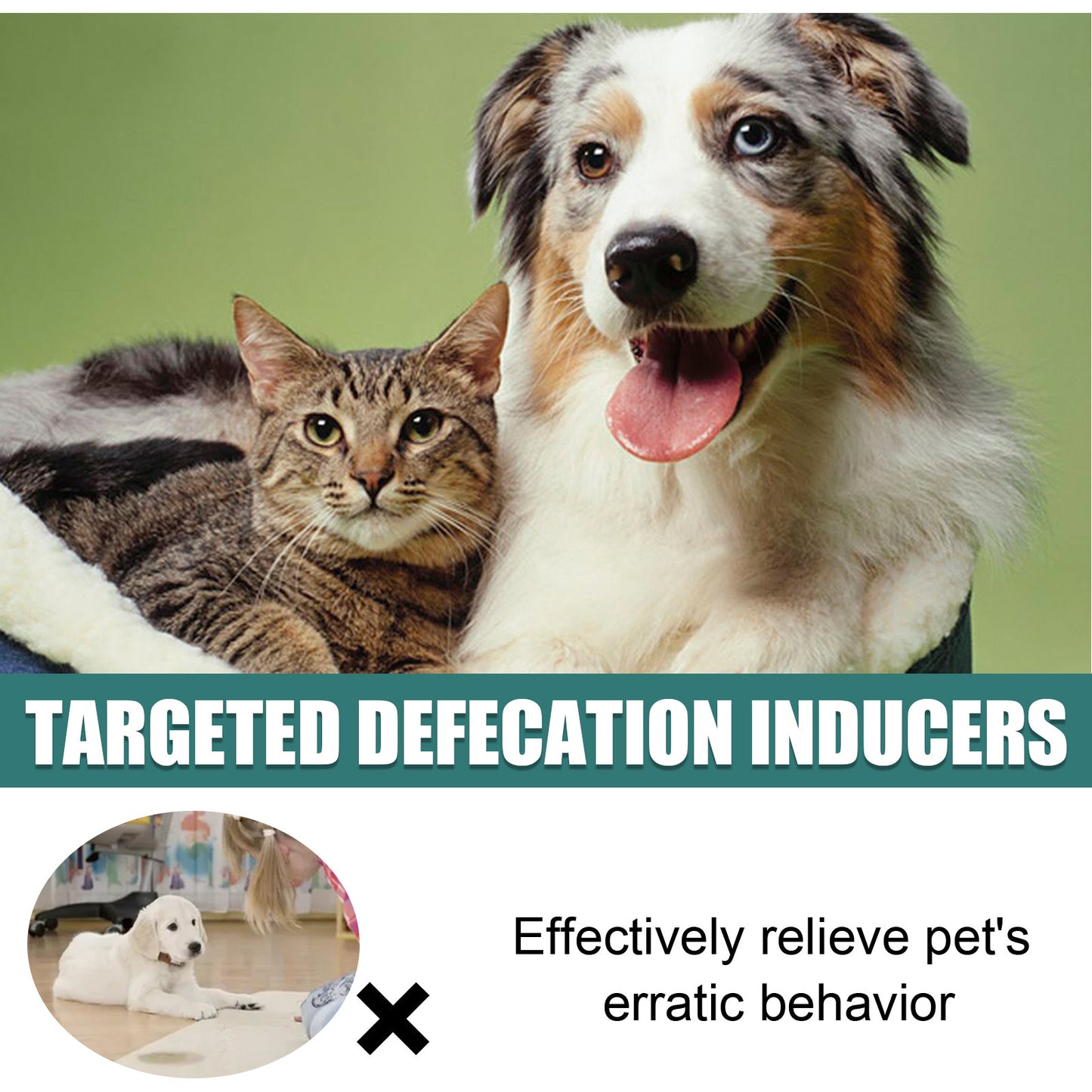 Yegbong Pet Toilet Training Spray – Positioning Inducer for Puppy and Dog Potty Training