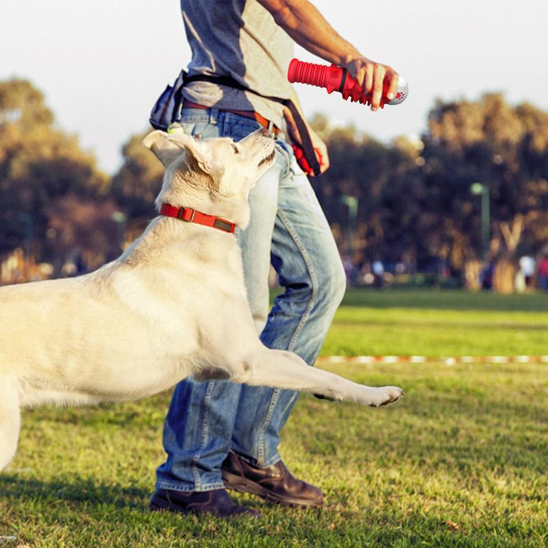 Interactive Toy for Medium and Large Dogs – Red Bite-Resistant Tug & Training Stick
