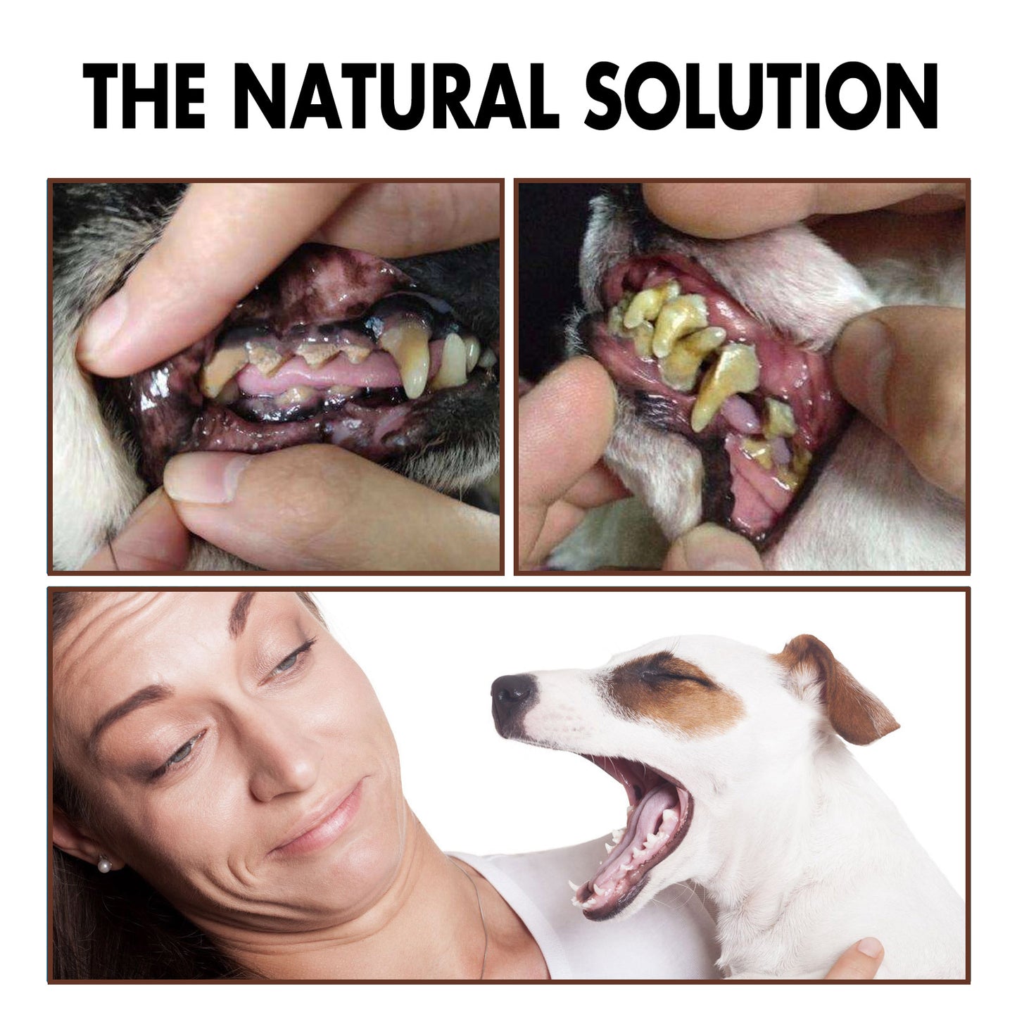 Pet Tooth Cleaning Spray & Fresh Breath & Tartar Control Formula for Cats and Dogs