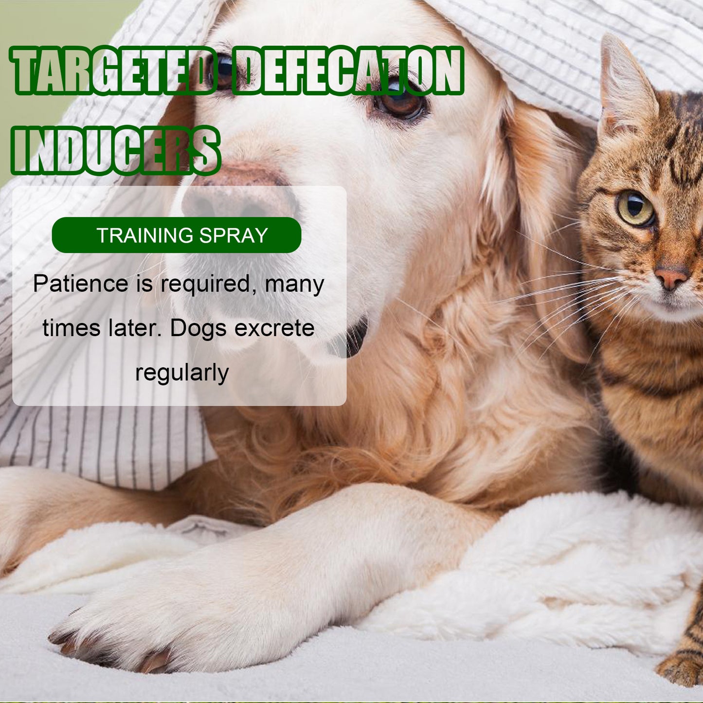 Yegbong Pet Toilet Training Spray – Positioning Inducer for Puppy and Dog Potty Training