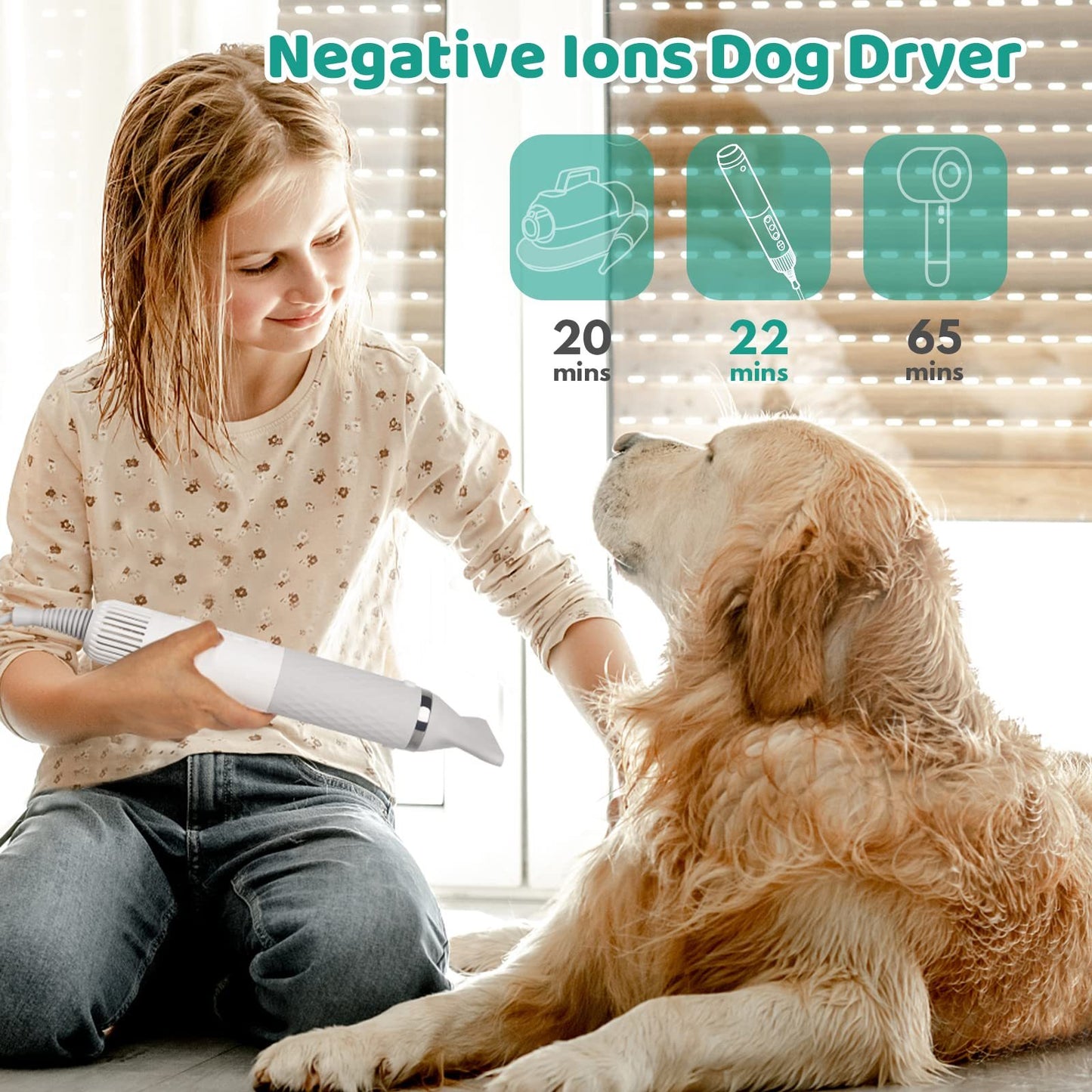 Brushless Motor Handheld Pet Dryer – Quiet Water Blower with Attachments for Dogs & Cats