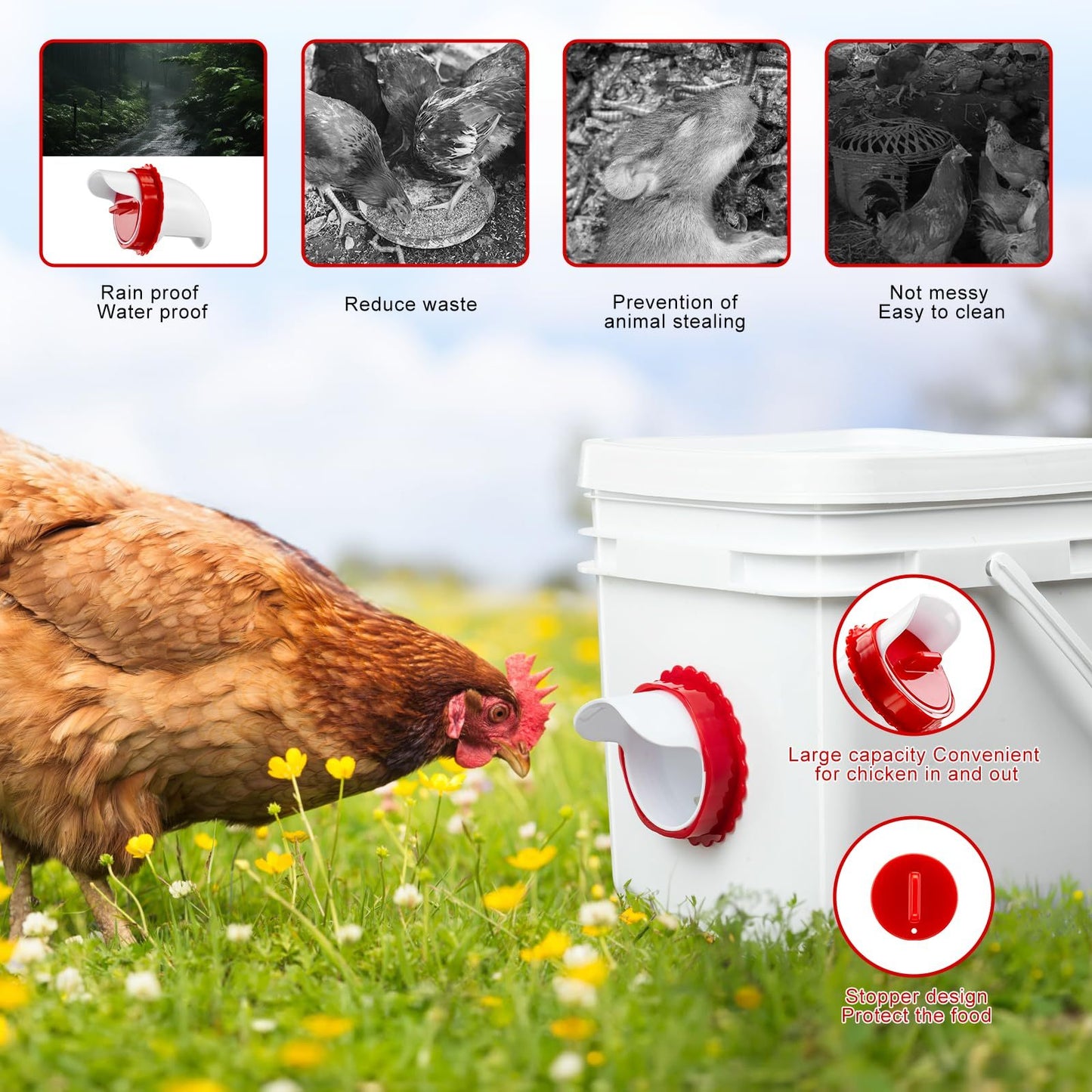 iFurffy Automatic Chicken Water Cups & Feeder Set – DIY Poultry Hydration & Feeding Kit