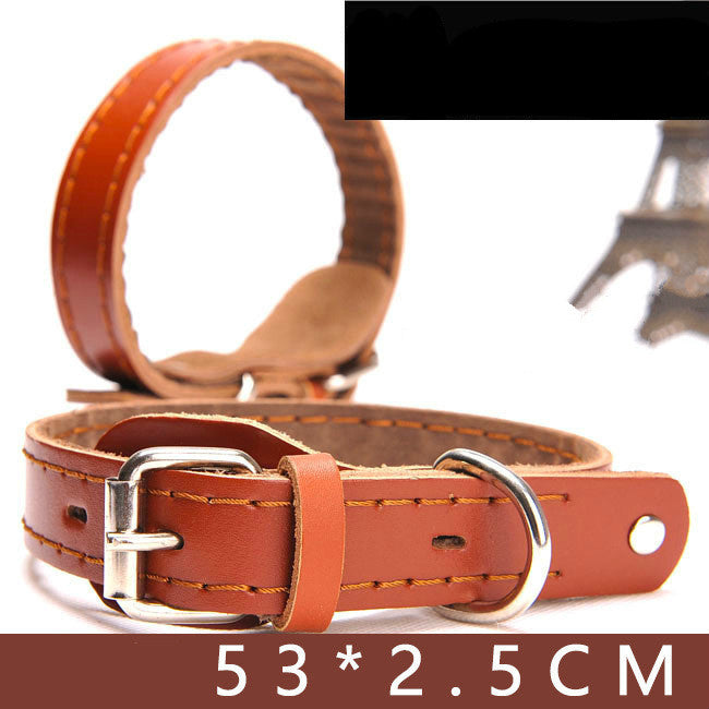 Angel Pet Supplies Rio Leather Martingale Collar