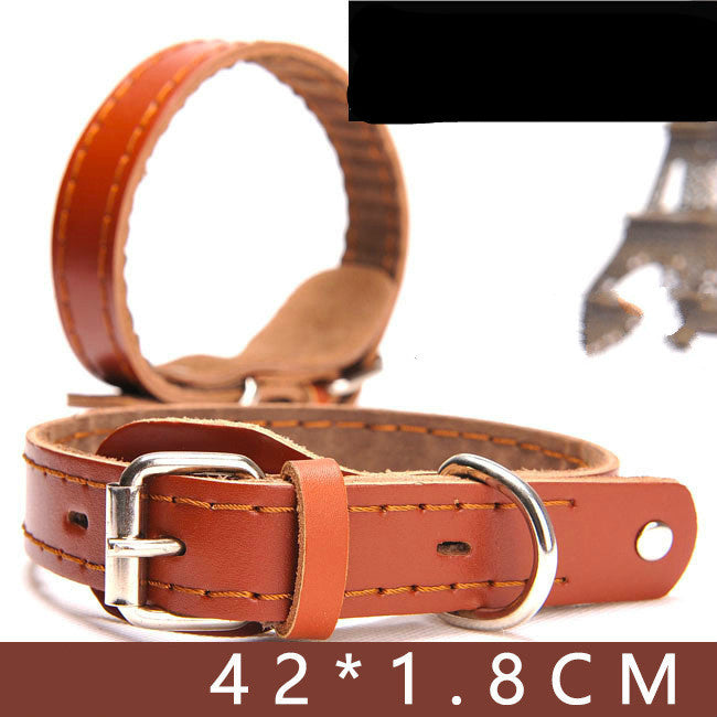 Angel Pet Supplies Rio Leather Martingale Collar
