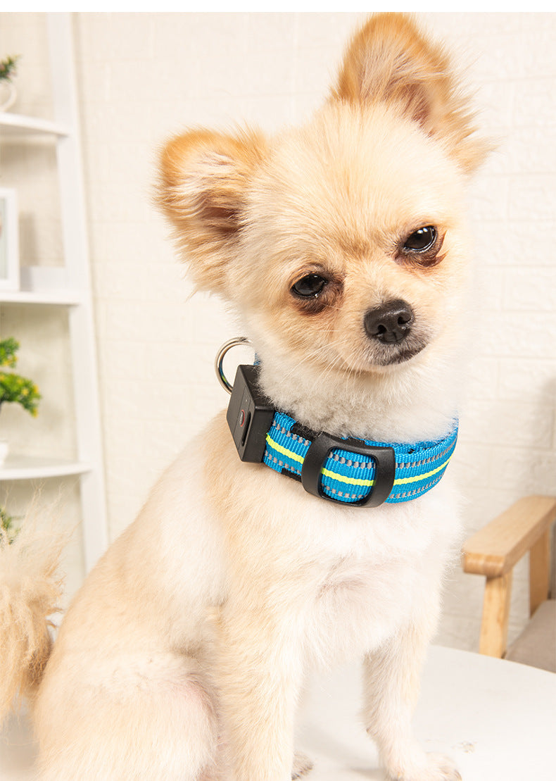 LED Glowing Dog Collar – USB Rechargeable Night Safety Pet Collar