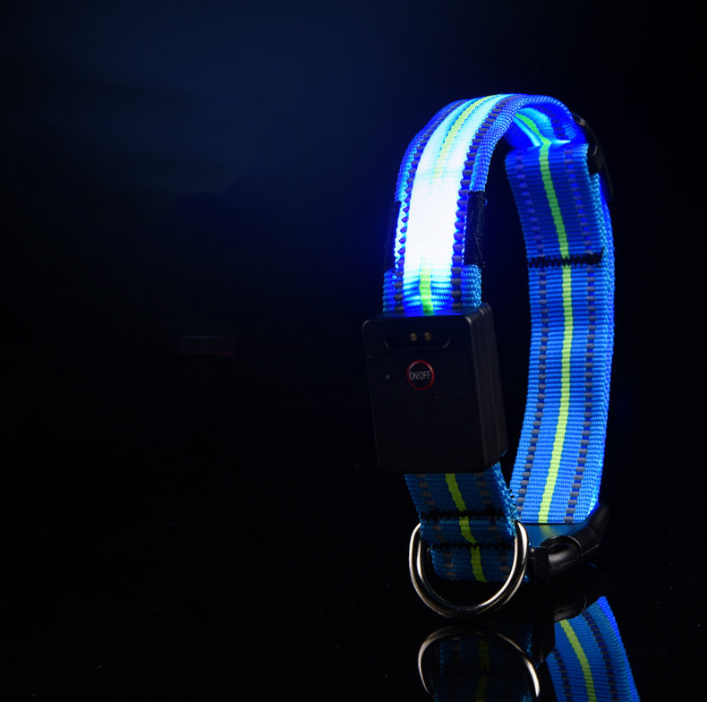 LED Glowing Dog Collar – USB Rechargeable Night Safety Pet Collar