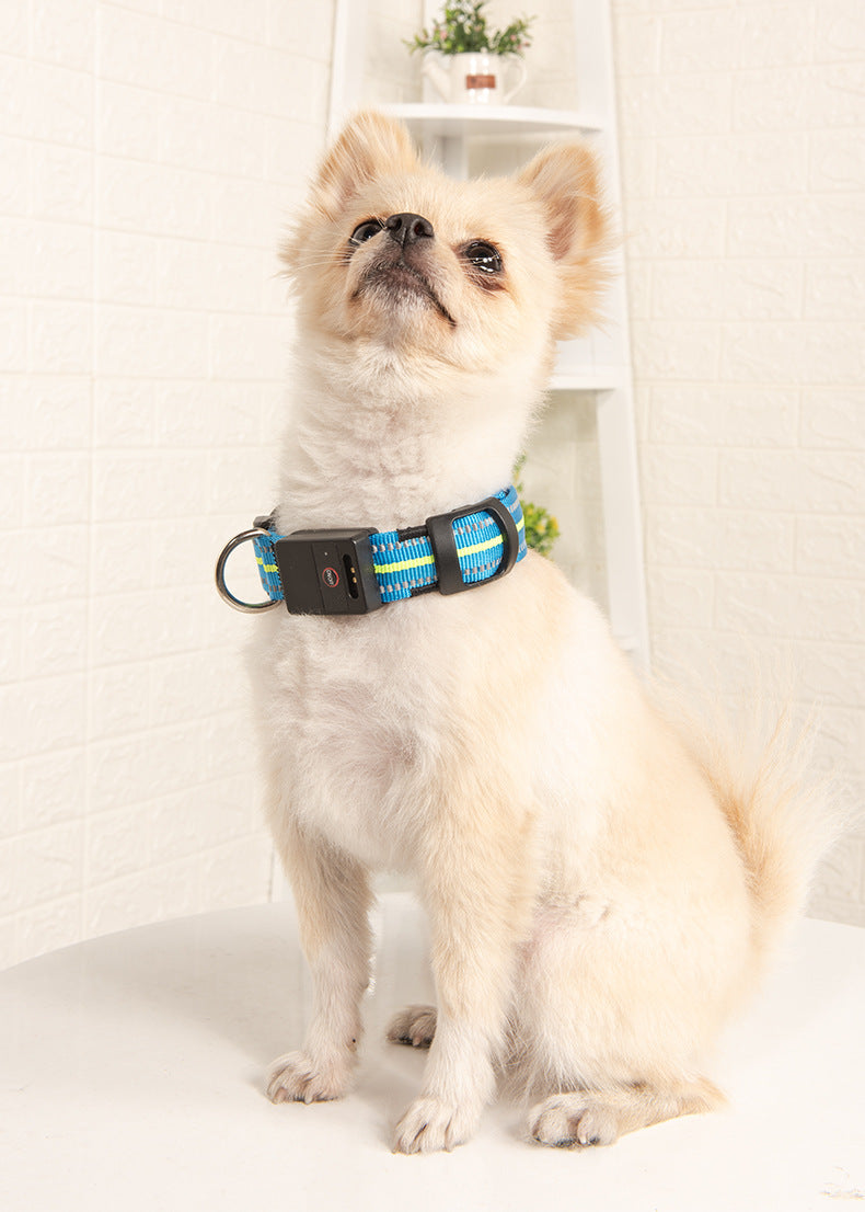 LED Glowing Dog Collar – USB Rechargeable Night Safety Pet Collar