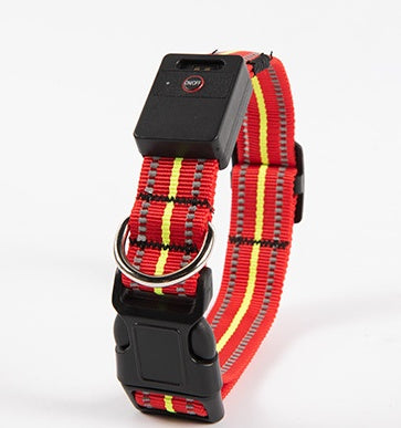LED Glowing Dog Collar – USB Rechargeable Night Safety Pet Collar
