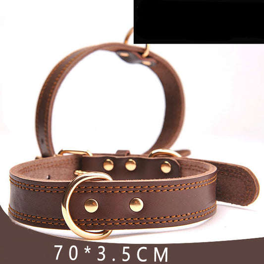 Angel Pet Supplies Rio Leather Martingale Collar
