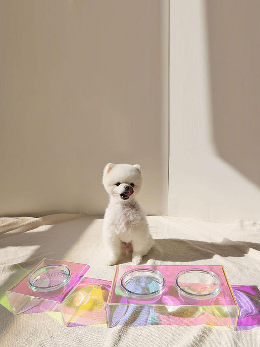 Raised Acrylic Pet Bowl with Dazzling Crystal Base – Stylish Feeder for Small Dogs & Cats
