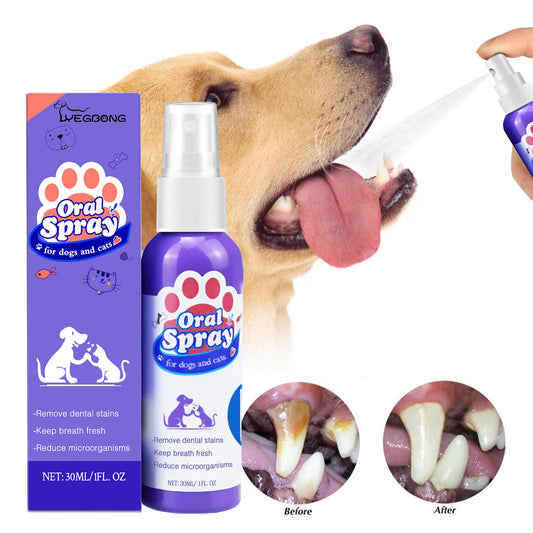 Cat and Dog Teeth Cleaning Spray – Remove Plaque, Tartar & Tooth Stains with Natural Oral Care Formula
