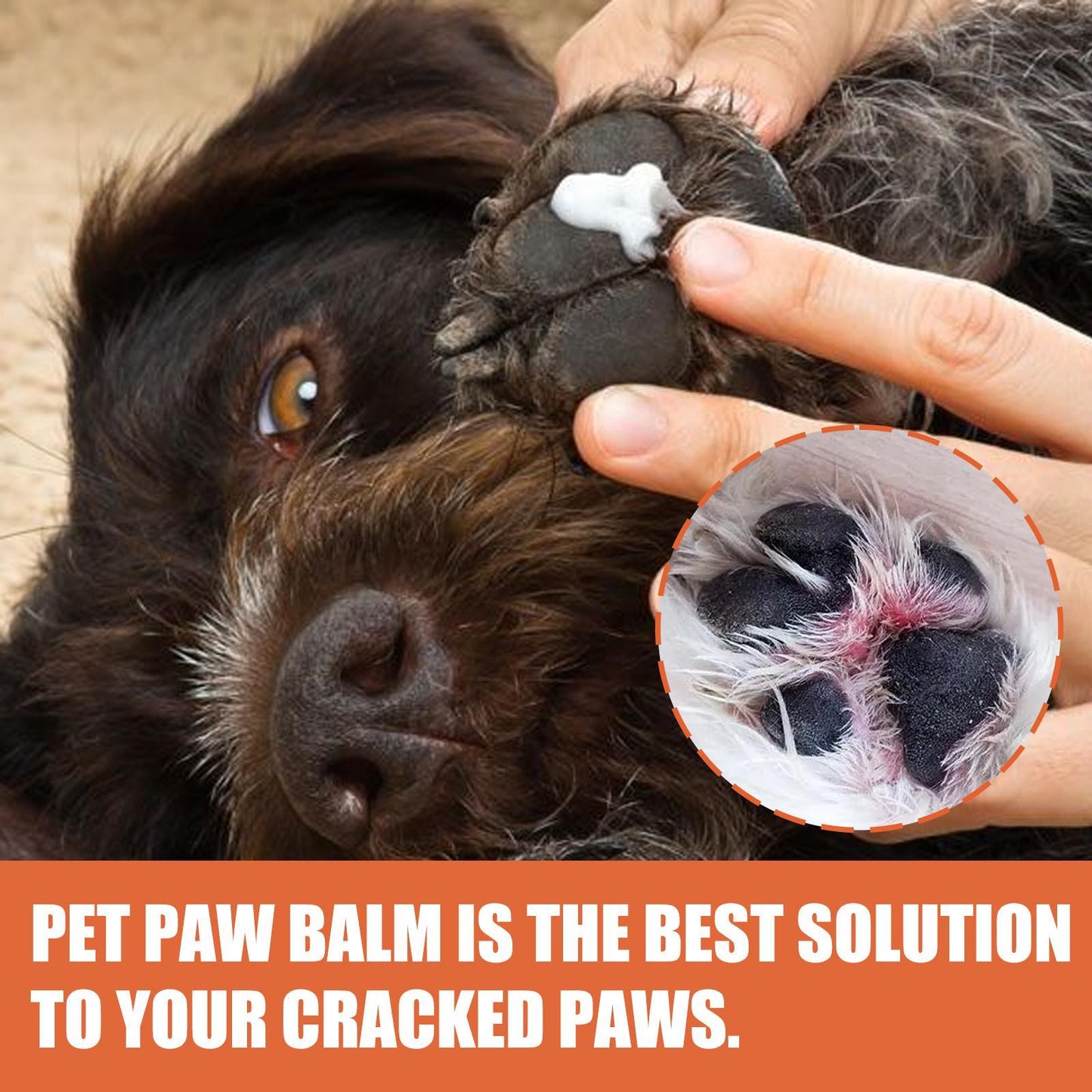 Paw Rescue Cream – Natural Moisturising Balm for Dry, Cracked Pet Paws