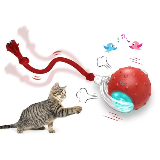 Super Drive Cat Rolling Ball – Interactive Motion Toy for Chasing & Pouncing